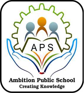 AMBITION PUBLIC SCHOOL     